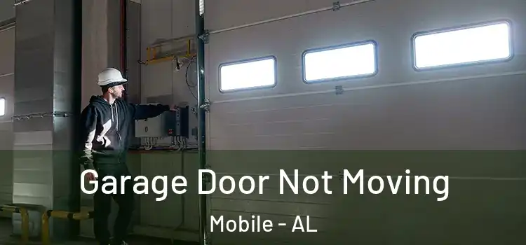  Garage Door Not Moving Mobile - AL