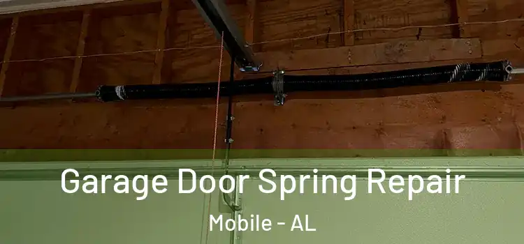  Garage Door Spring Repair Mobile - AL