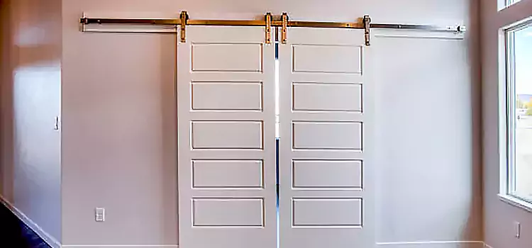 Glass Barn Door with Installation Hardware Kit Mobile