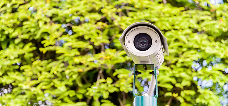 Advanced Surveillance Solutions for Every Need in Mobile