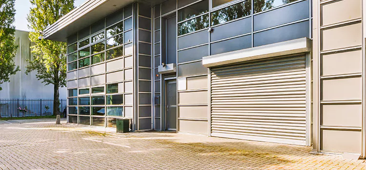 Electric Roller Garage Doors Mobile