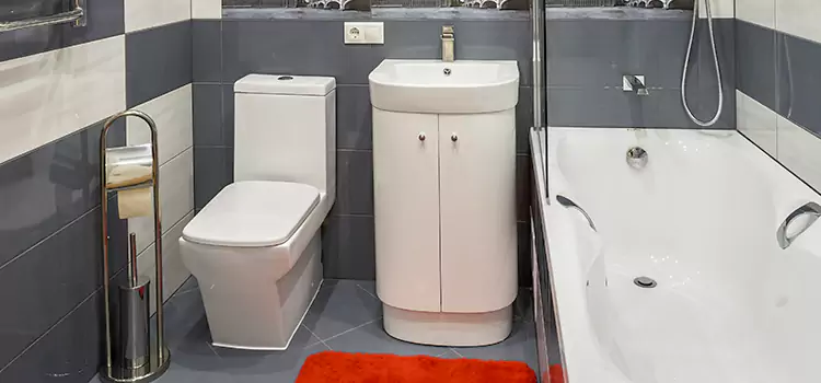 Hansgrohe Shaving Mirror Mobile